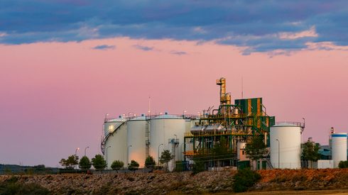 Biodiesel factory for renewable fuel production